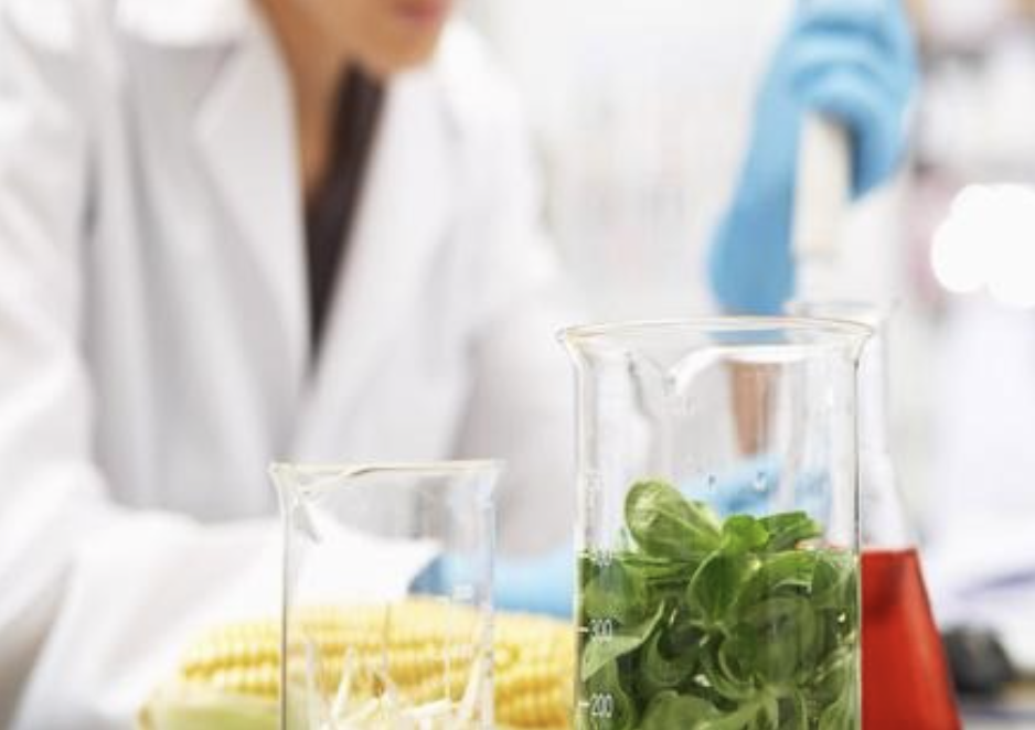 Food safety and public health webinars Food safety and public health webinars